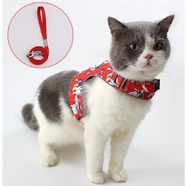 PET 1810  Cat Harness and Leash for Walking