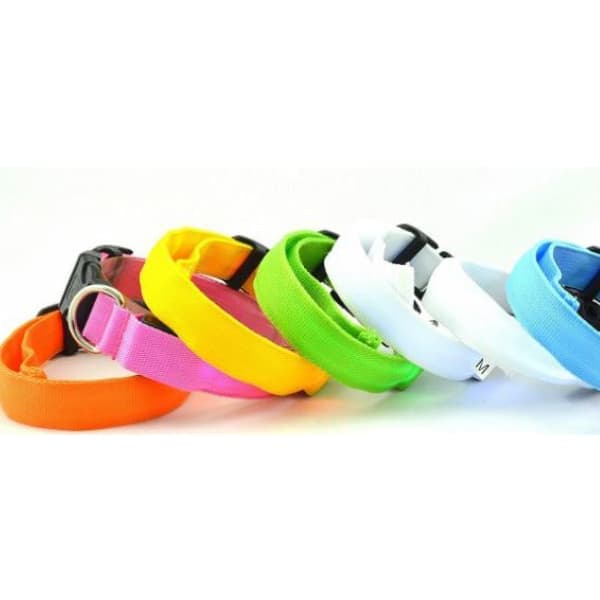 PET 1813  LED Collar with USB Charge